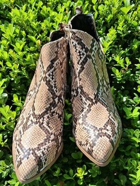 Qupid Taupe Brown Snakeskin Pointed Ankle Booties